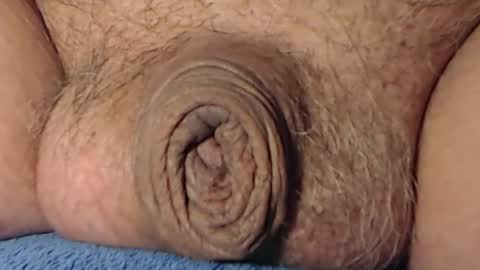 cute_stud2855 online show from 02/08/26, 04:32