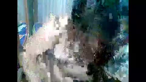 cutechubbyasian online show from 04/26/26, 11:30