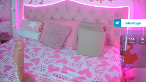 Kitty online show from 03/30/26, 11:28