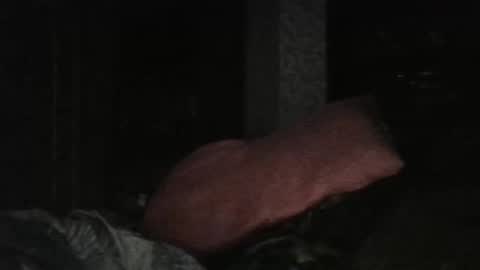 cutekattie online show from 02/25/26, 06:01