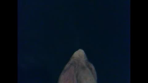 CutieBoy online show from 10/26/25, 01:33