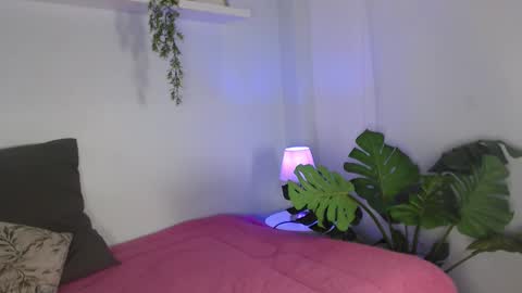 Laura online show from 02/10/26, 11:36