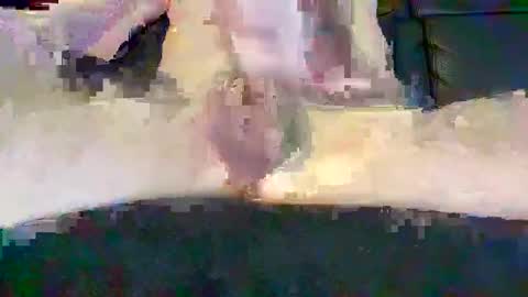 cwaddle online show from 02/16/25, 03:48