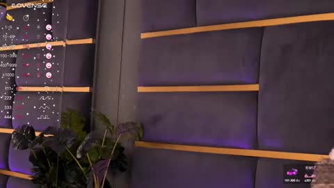 Ivy online show from 02/11/25, 04:01