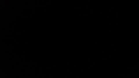 Destroyer online show from 12/04/24, 10:30