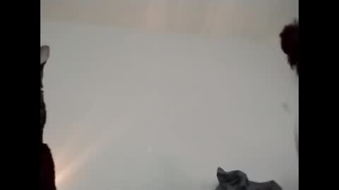 Snapshot of daddi_stick chatting on 05/23/26, 08:35 daddi_stick online show from 05/23/26, 08:35