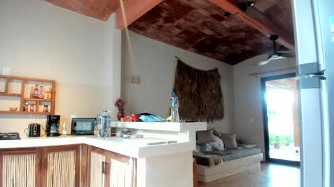 Belle  Email daddydaycarecb  online show from 03/11/25, 01:45