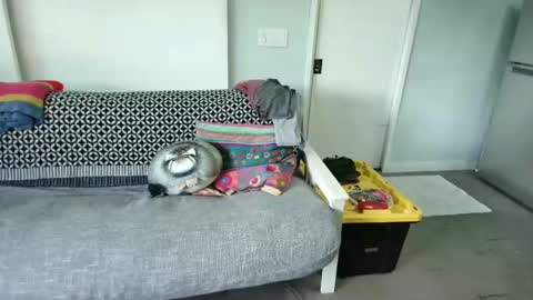 bas online show from 10/27/25, 08:35