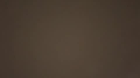 Daddy online show from 01/17/26, 07:50