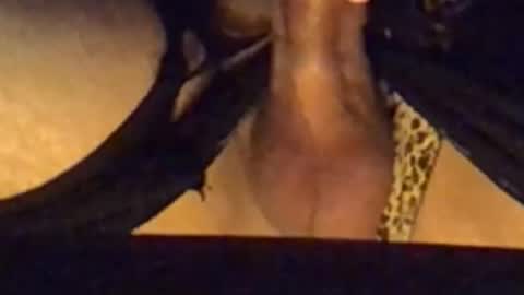 Snapshot of daddypervbuttprincess chatting on 09/13/25, 02:50 daddypervbuttprincess online show from 09/13/25, 02:50