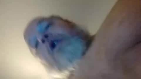 Snapshot of daddyshome4115 chatting on 12/20/25, 06:42 Daddyshome4115 online show from 12/20/25, 06:42