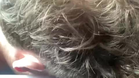 daddyswede23 online show from 04/09/26, 03:39