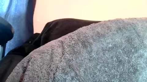 daddyyoo8 online show from 07/28/26, 04:27