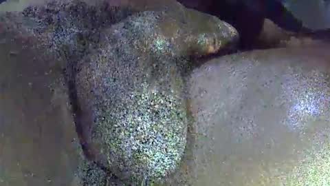 GIANT  Lamar  72 ft  tall  with a  10 inches  BBC   hard quick cumshot in private show lets go online show from 04/01/26, 11:44