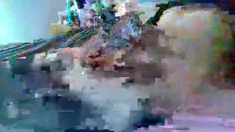 dafo1980 online show from 02/22/26, 02:59