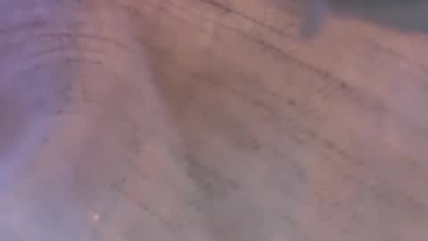 Snapshot of daisy9kat chatting on 03/08/26, 06:44 Daisy137 online show from 03/08/26, 06:44