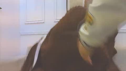 Daisy Price online show from 07/10/26, 10:40