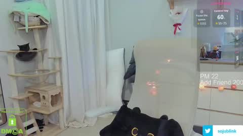 Daisy online show from 03/24/26, 08:52