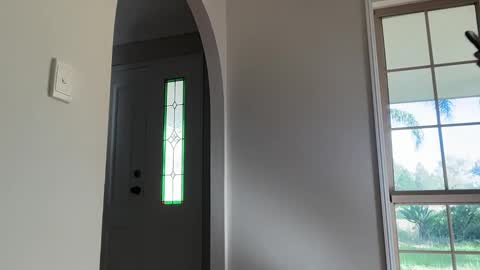 Daisy online show from 03/15/26, 10:05