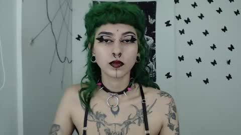 Snapshot of dakota_krall_ chatting on 12/11/24, 02:52 dakota online show from 12/11/24, 02:52