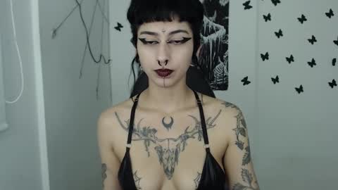 Snapshot of dakota_krall_ chatting on 01/25/25, 07:17 dakota online show from 01/25/25, 07:17