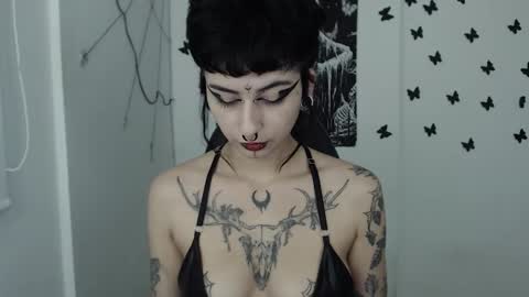 Snapshot of dakota_krall_ chatting on 01/31/25, 08:01 dakota online show from 01/31/25, 08:01