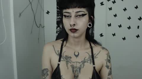 Snapshot of dakota_krall_ chatting on 02/13/25, 05:48 dakota online show from 02/13/25, 05:48