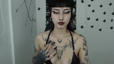 Snapshot of dakota_krall_ chatting on 02/14/25, 06:23 dakota online show from 02/14/25, 06:23