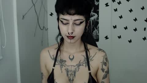 Snapshot of dakota_krall_ chatting on 02/15/25, 05:51 dakota online show from 02/15/25, 05:51