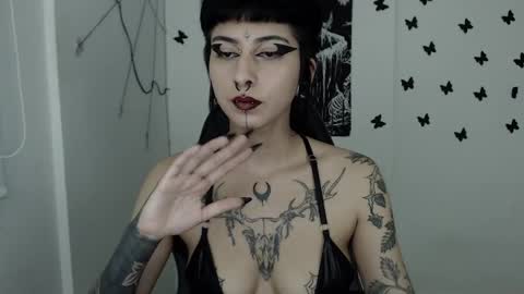 Snapshot of dakota_krall_ chatting on 02/26/25, 06:37 dakota online show from 02/26/25, 06:37