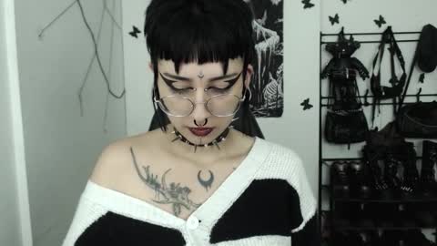 Snapshot of dakota_krall_ chatting on 10/29/25, 04:04 dakota online show from 10/29/25, 04:04