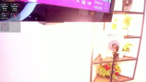 Sammy online show from 02/17/26, 08:15