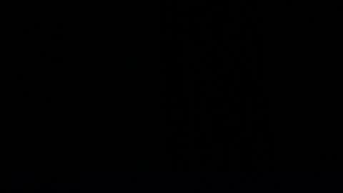 Dakota Simon online show from 02/05/25, 11:55