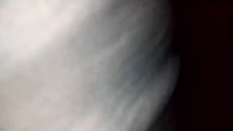 Dalila online show from 10/19/25, 09:43