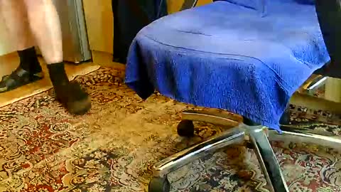 Dammerl online show from 12/11/24, 01:06