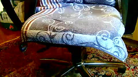 Dammerl online show from 01/23/25, 01:24