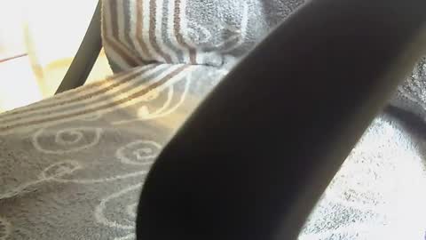 Dammerl online show from 01/28/25, 08:25