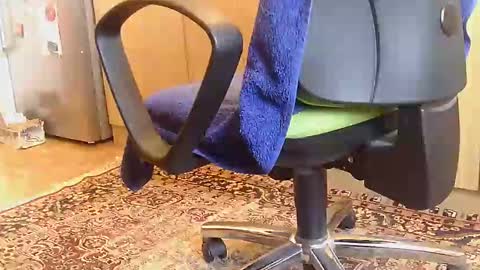 Dammerl online show from 02/18/25, 06:59