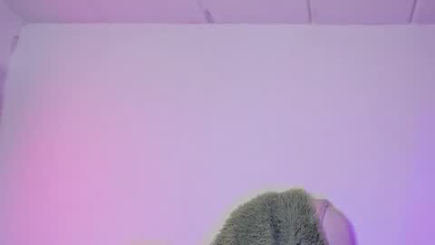 Criss online show from 02/06/25, 04:21