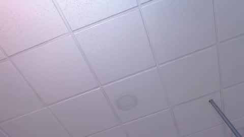 dana online show from 12/19/24, 02:23