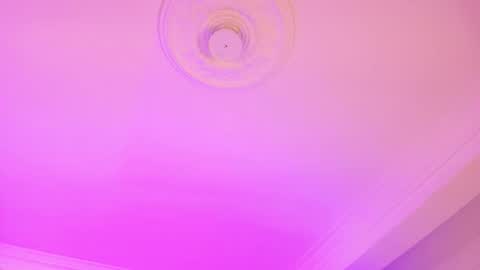 Dana online show from 11/28/25, 08:11