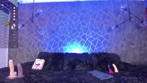    online show from 01/07/26, 11:07