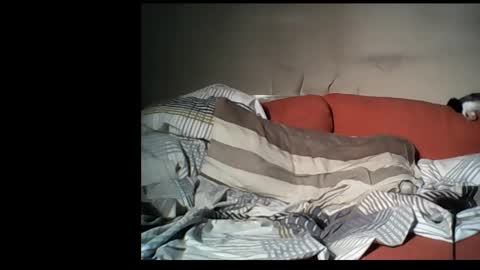 dane1982 online show from 01/01/25, 04:39