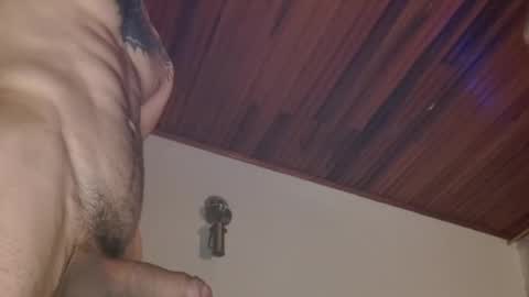 Snapshot of dani_angel_ chatting on 12/11/24, 03:56 Dani online show from 12/11/24, 03:56