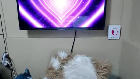 Snapshot of danica_wild chatting on 12/15/25, 03:44 Danica online show from 12/15/25, 03:44