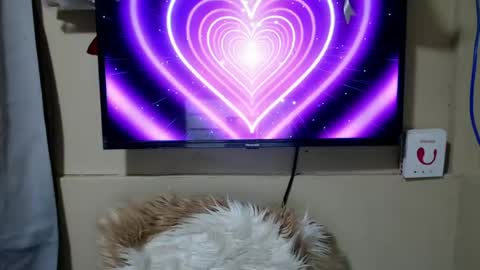 Danica online show from 06/26/26, 11:31