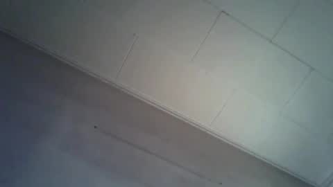 danicrss8 online show from 04/04/26, 08:28