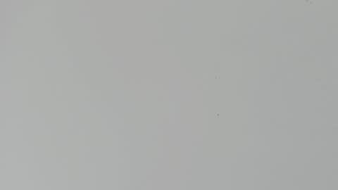 daniel_kingxxx online show from 03/02/26, 12:34