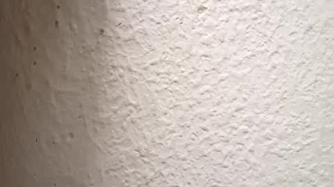 Snapshot of danielhot24 chatting on 10/03/25, 04:59 Antidotehot24 online show from 10/03/25, 04:59