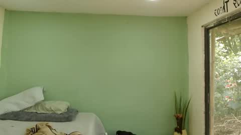 danielitopapii online show from 01/16/26, 04:00